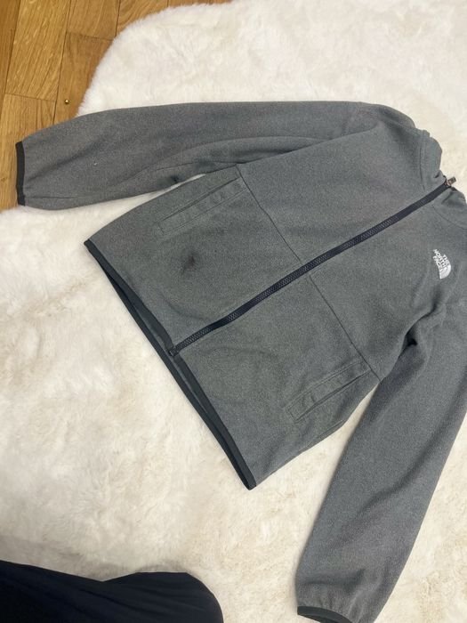 Herren The North Face Jacke Grau