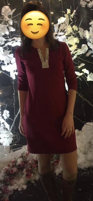 Women Dress Burgundy 36