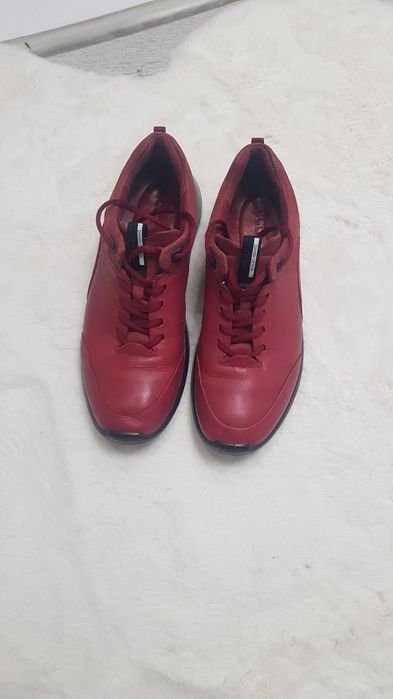 Мужские Ecco Мокасины Бордовые Кожа 42