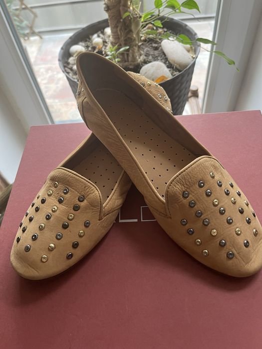 Donna Baldinini Ballet Flats Marrone 40