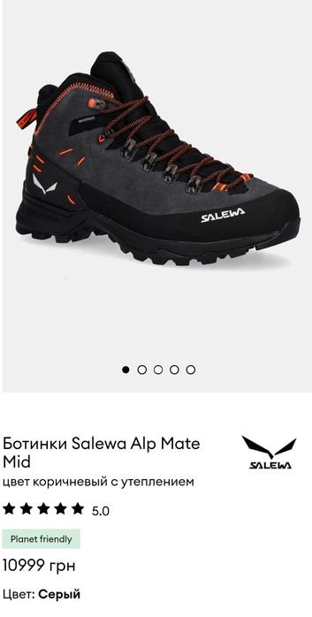 Men Salewa Boots Grey Other 45