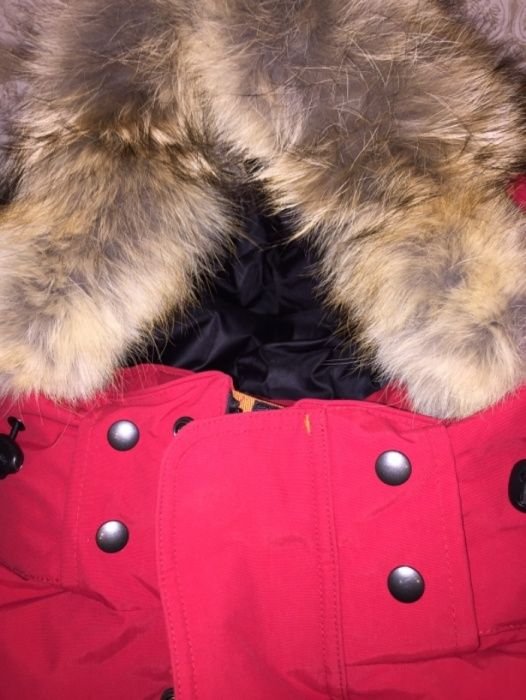 Homme OSC Canada Parka Rouge Oie 56-58