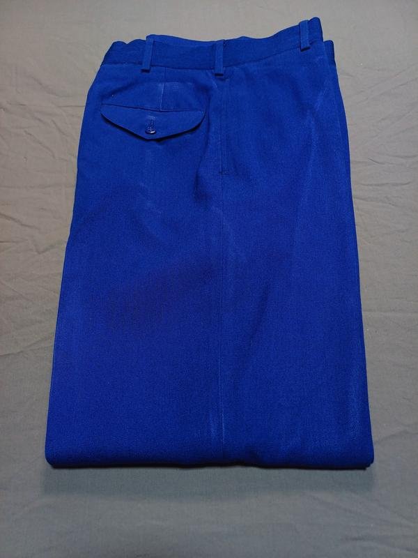 Мужские Брюки Тёмно-синий Шерсть 30 / S / 44