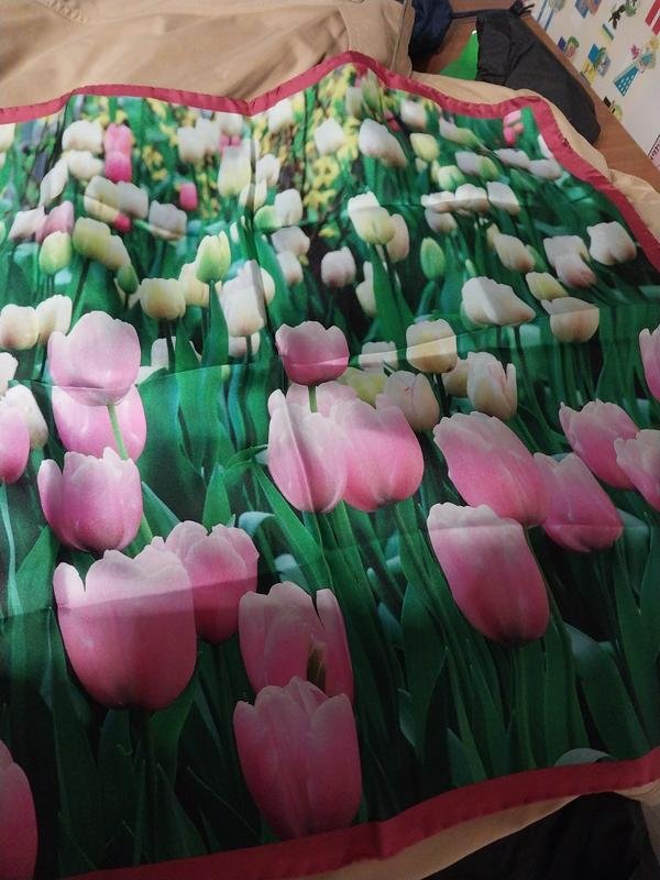 Women DRYKORN Scarf Pink Silk