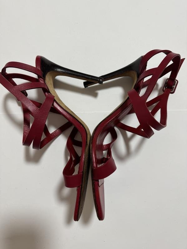 Donna Carolina Herrera Tacchi Borgogna 38.5