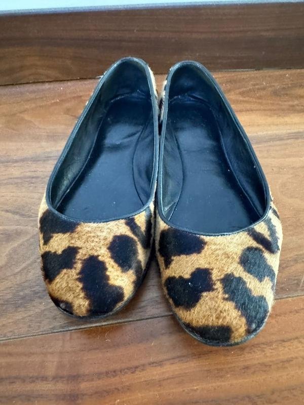Women Giuseppe Zanotti Heels Brown 36