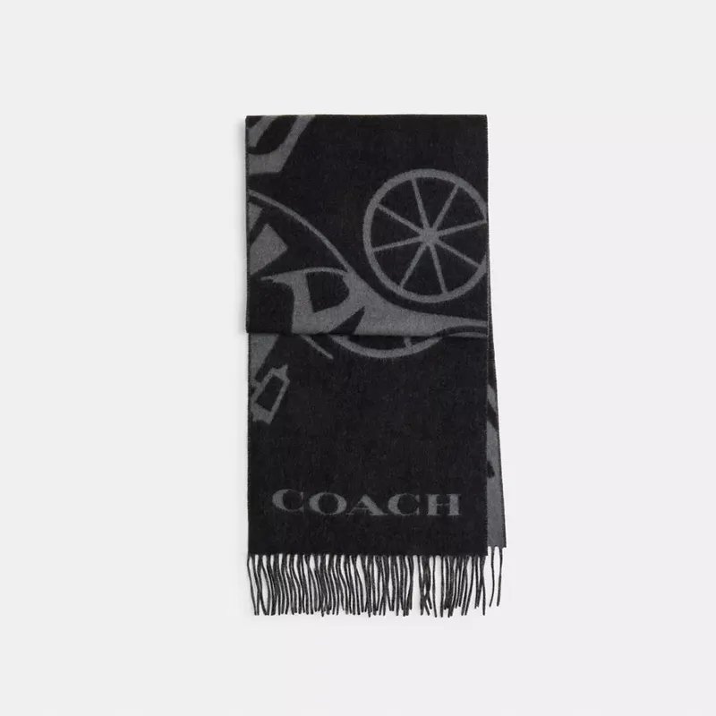 Unisex Coach Scarf Grey Cashmere