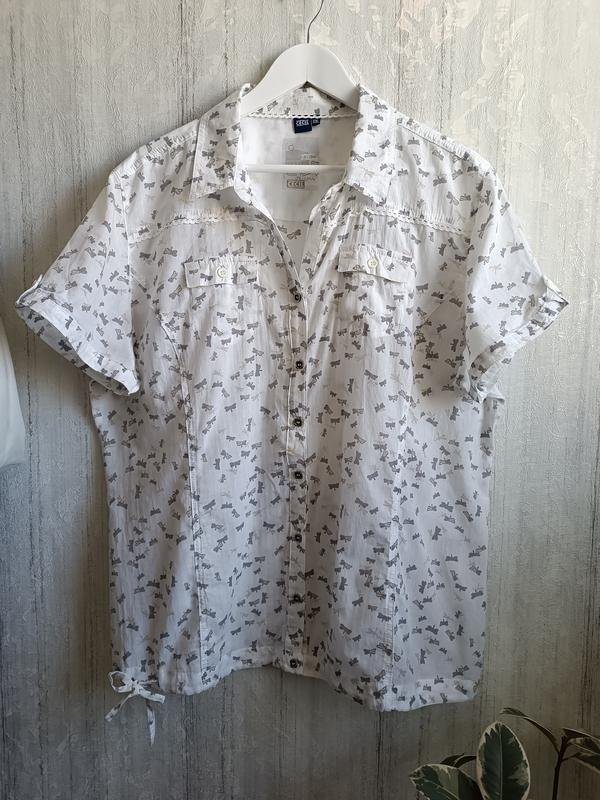 Женская Celine Блуза Серый Хлопок XXL