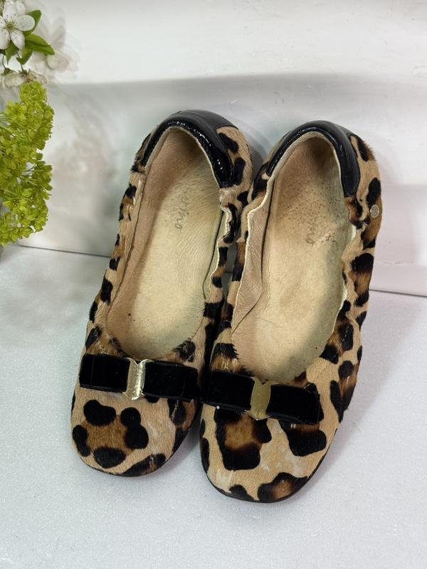 Women Ferragamo Heels Brown Leather 34