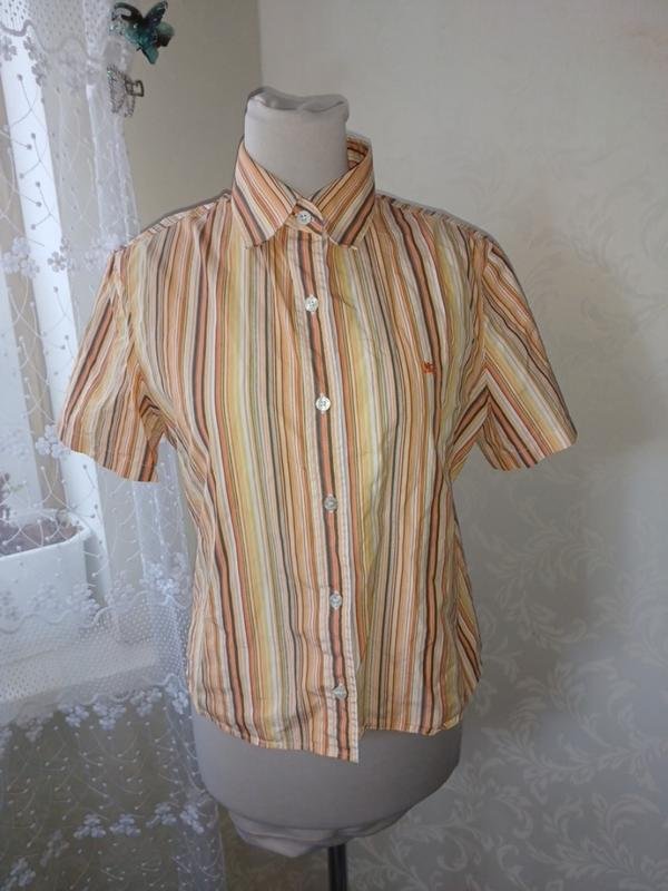 Herren Burberry Poloshirt Mehrfarbig Baumwolle XS